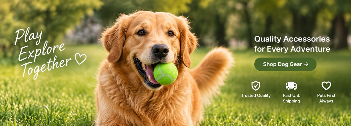 Pet accessories promotional banner